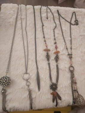 Assorted Necklaces Jewelry Lot